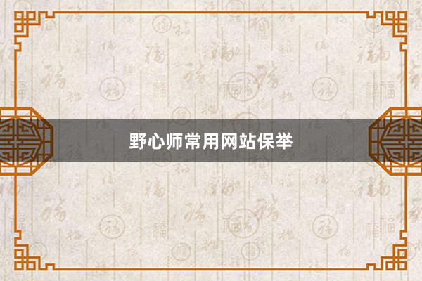 野心师常用网站保举