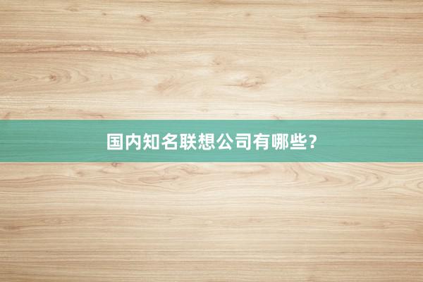 国内知名联想公司有哪些？